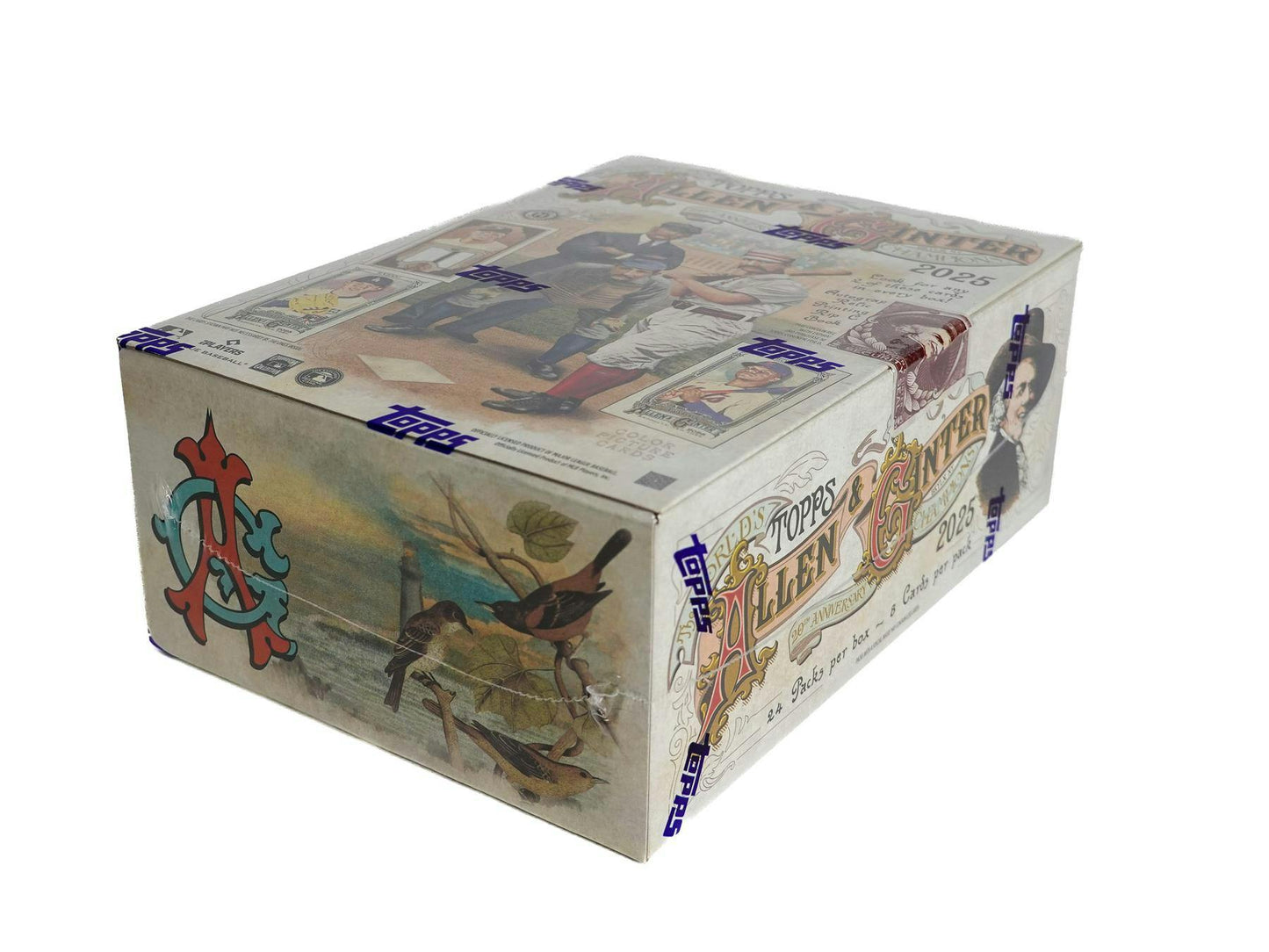 2025 Topps Allen & Ginter Baseball Hobby Box