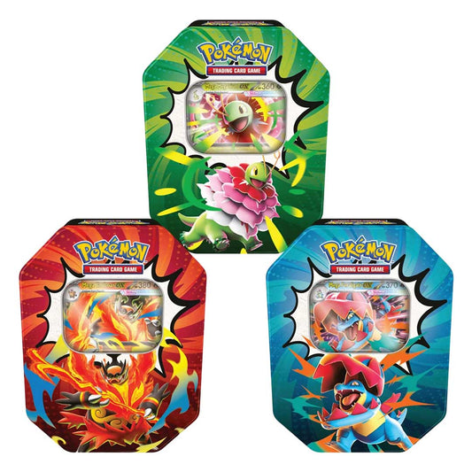 Pokemon Mega Evolution Ascended Heroes Tin, assorted designs